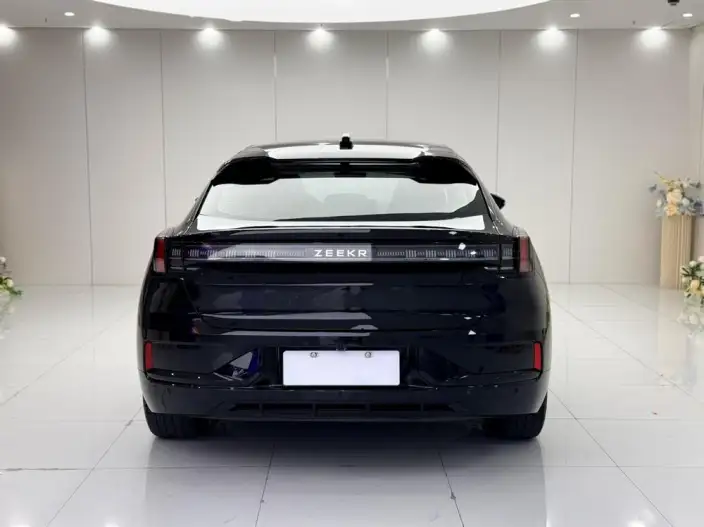 ZEEKR 001 2023 Model WE Edition 86kWh 4WD – фото 5