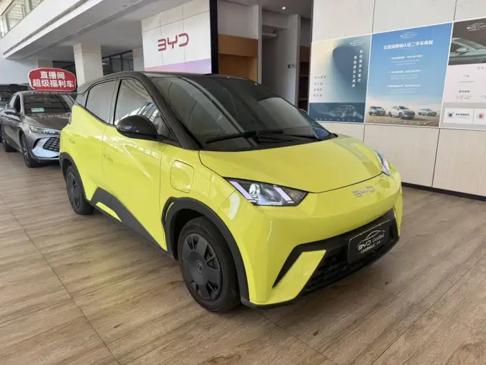 BYD Seagull 2024 Model Honor Edition 305KM Vitality Edition