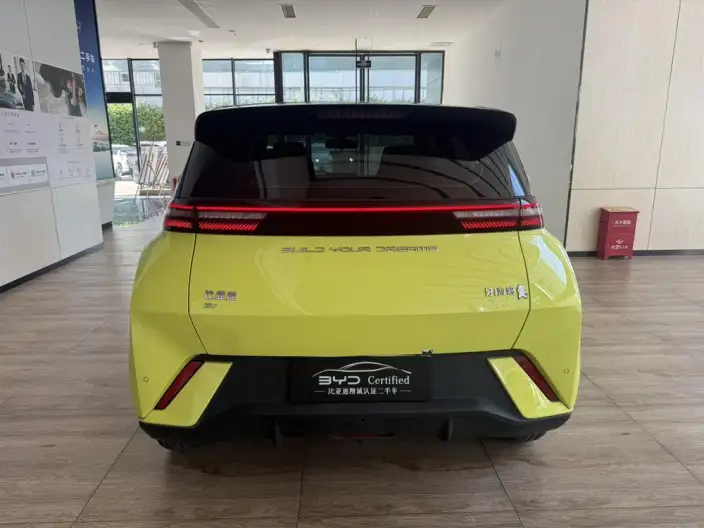 BYD Seagull 2024 Model Honor Edition 305KM Vitality Edition – фото 5