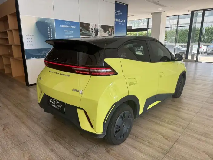 BYD Seagull 2024 Model Honor Edition 305KM Vitality Edition – фото 6