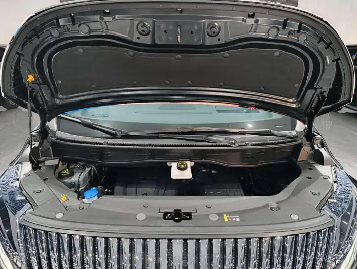 Wey Gaoshan P HEV 2025 Model 4WD Wey Gaoshan 8 – фото 6