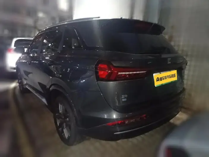 Blue Electric E5 2024 Model Honor Edition 100km Exclusive Model 7 seat