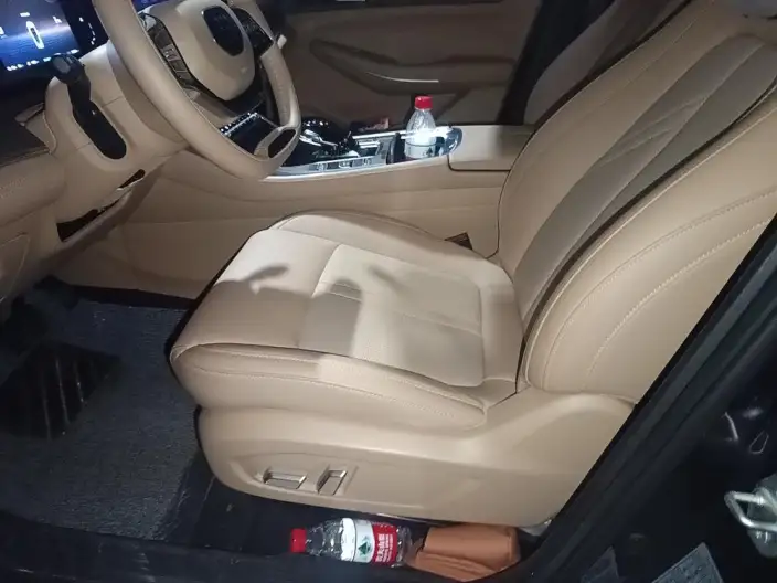 Blue Electric E5 2024 Model Honor Edition 100km Exclusive Model 7 seat – фото 10