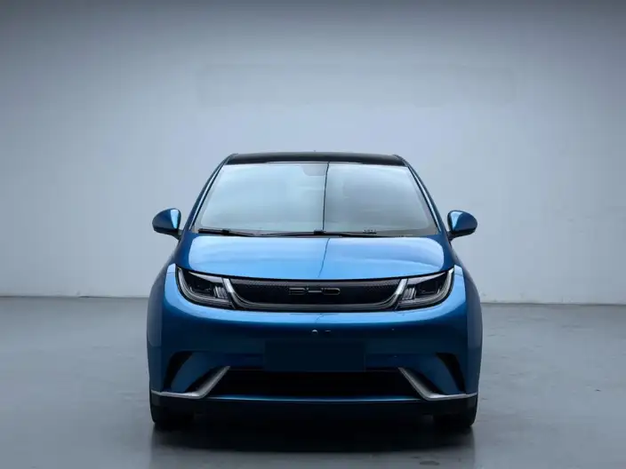 BYD Dolphin 2021 Model Fashion Edition