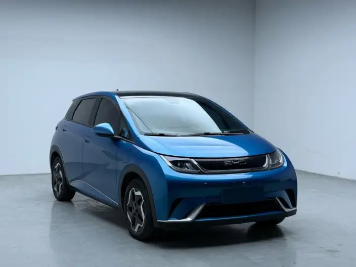 BYD Dolphin 2021 Model Fashion Edition