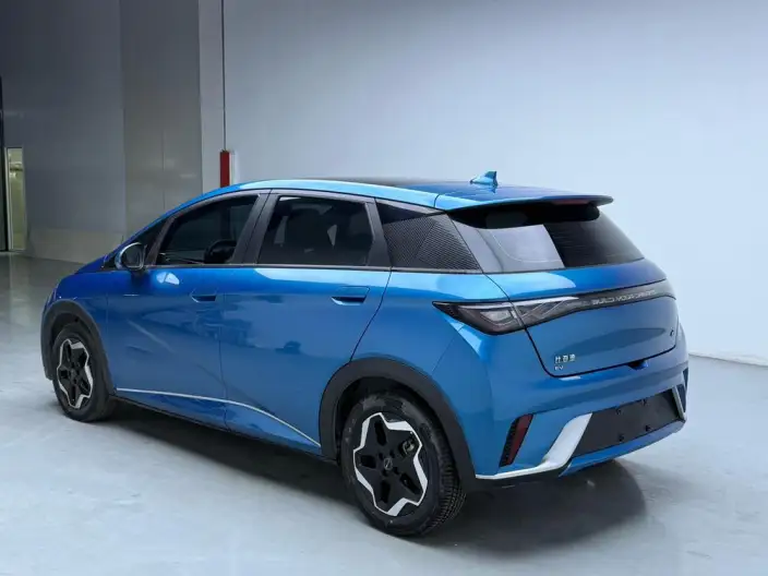 BYD Dolphin 2021 Model Fashion Edition