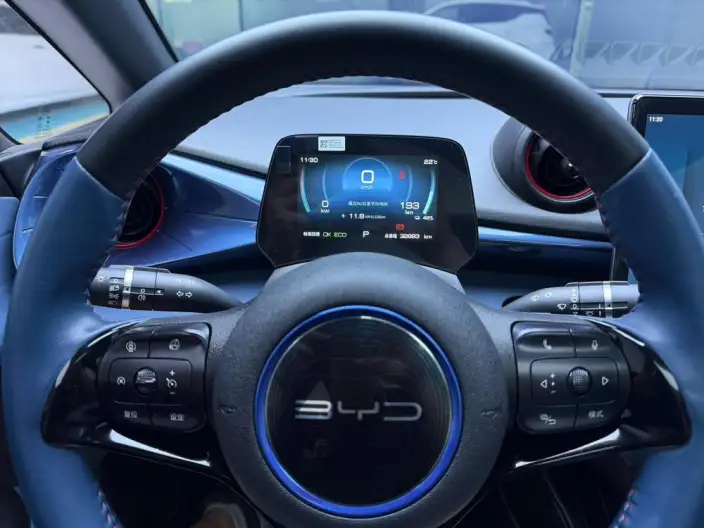 BYD Dolphin 2021 Model Fashion Edition – фото 6