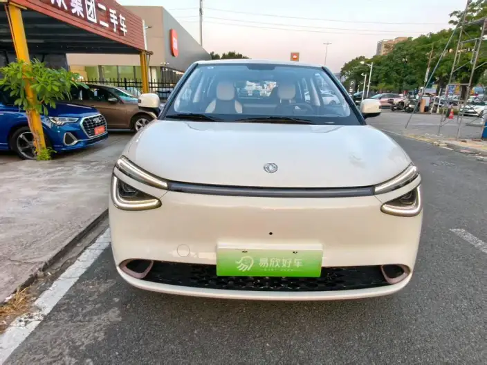 Dongfeng Nano 01 2024 Model 430Plus Smart +