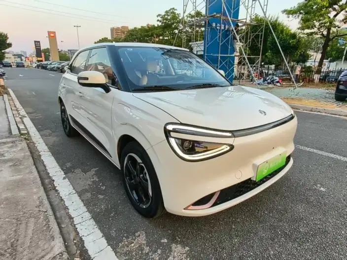 Dongfeng Nano 01 2024 Model 430Plus Smart +