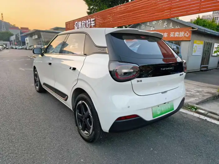Dongfeng Nano 01 2024 Model 430Plus Smart + – фото 5