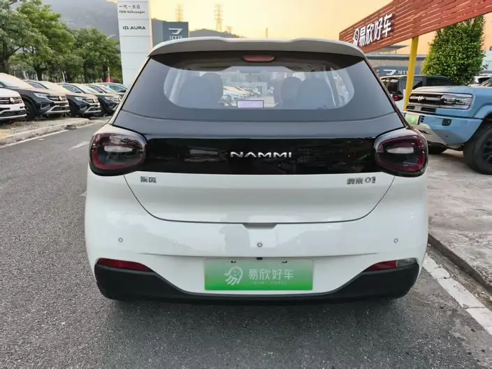 Dongfeng Nano 01 2024 Model 430Plus Smart + – фото 6