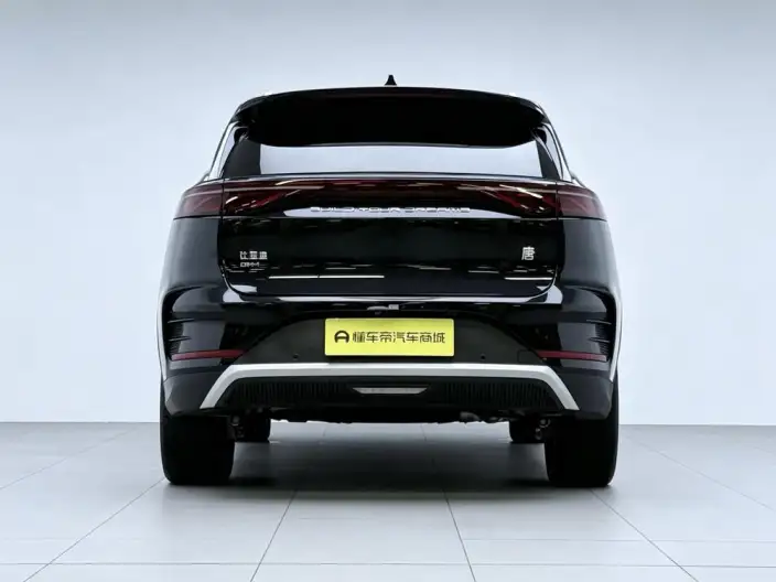 BYD Tang DM 2024 Model Honor Edition DM-i 112KM Noble Model – фото 6