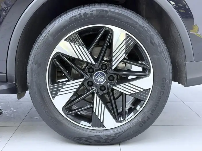 BYD Tang DM 2024 Model Honor Edition DM-i 112KM Noble Model – фото 9