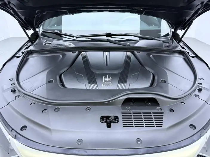 BYD Tang DM 2024 Model Honor Edition DM-i 112KM Noble Model – фото 10