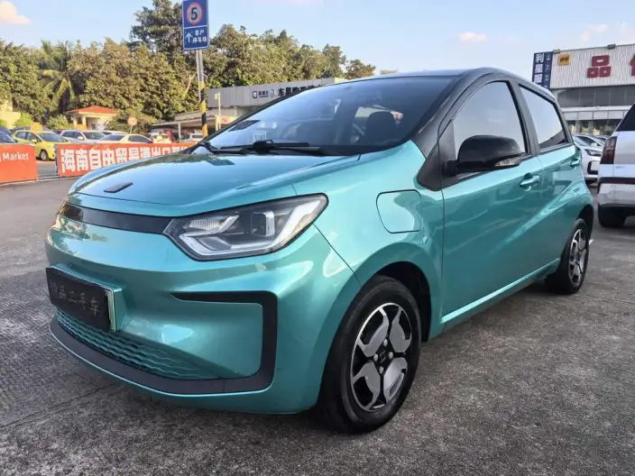 Sehol E10X 2021 Model 302km Luxury Model 30.2kWh – фото 1