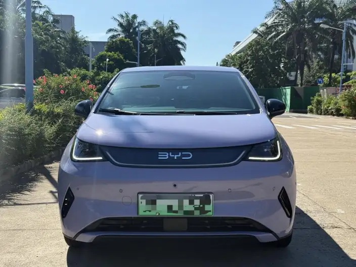 BYD Dolphin 2025 Model Smart Driving Edition 420KM Free Edition