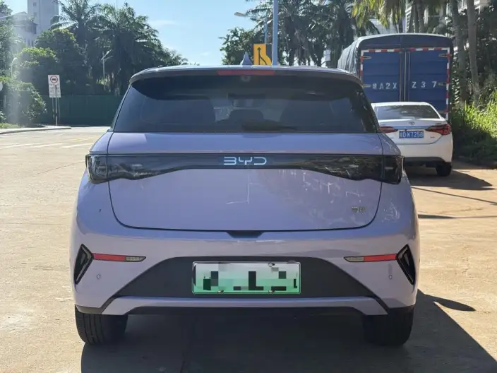 BYD Dolphin 2025 Model Smart Driving Edition 420KM Free Edition – фото 5
