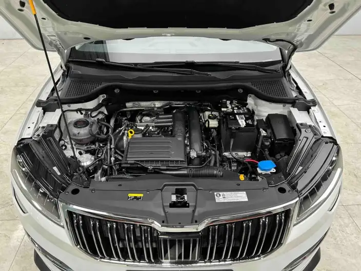 Karoq 2024 Model TSI280 Luxury Edition – фото 7
