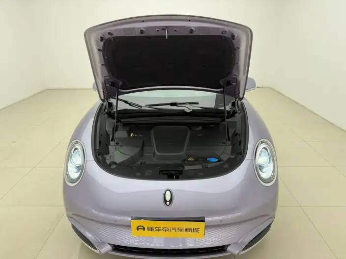 ORA Grand Cat 2022 Model 555km Premium Edition – фото 10