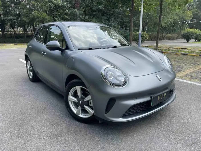 ORA Good Cat 2025 Model 430km Zunrong Model
