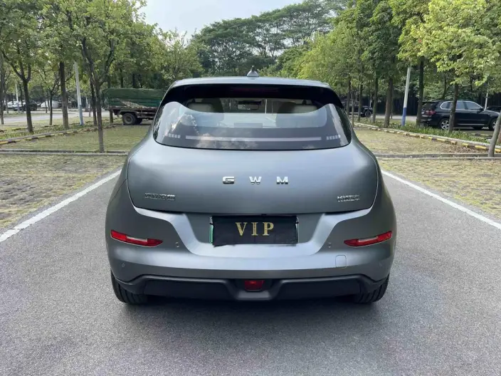 ORA Good Cat 2025 Model 430km Zunrong Model – фото 6