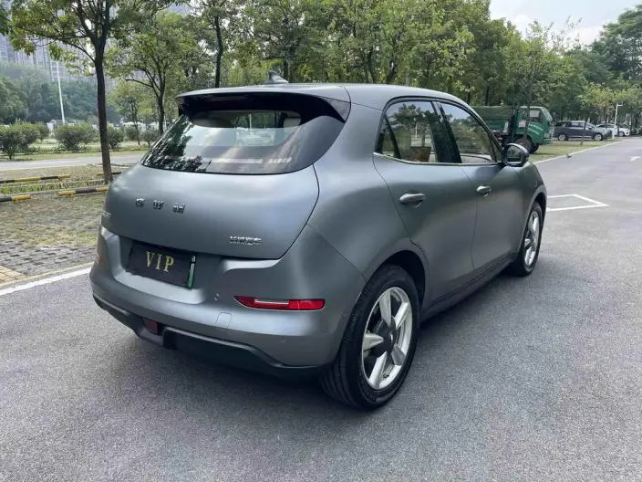 ORA Good Cat 2025 Model 430km Zunrong Model – фото 7