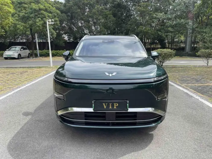 Xingguang L 2026 Model 260km VI seat Flagship Model