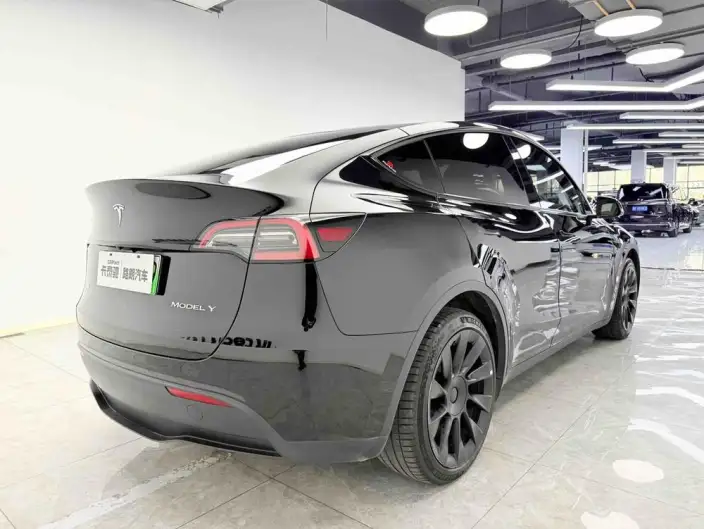 Model Y 2021 Model Standard Battery Life Rear-wheel drive version – фото 5