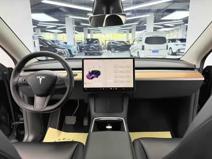 Model Y 2021 Model Standard Battery Life Rear-wheel drive version – фото 10