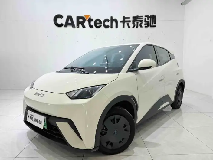 BYD Seagull 2024 Model Honor Edition 305KM Vitality Edition – фото 1