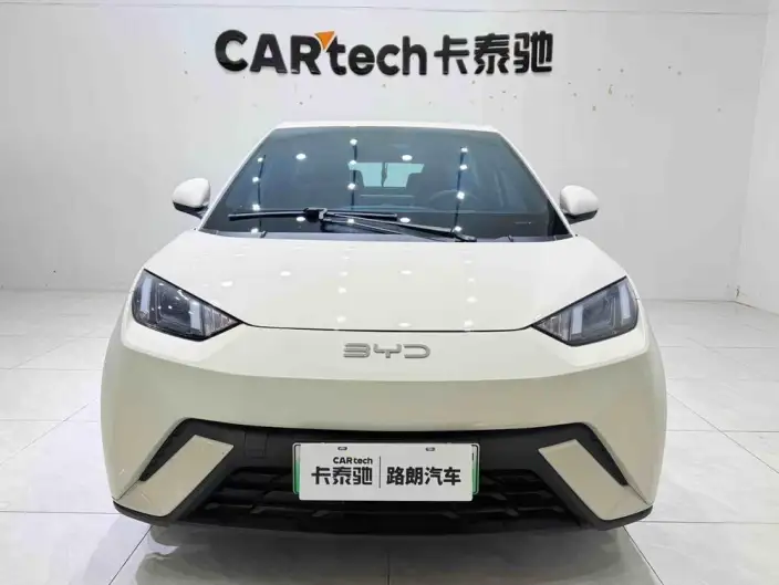 BYD Seagull 2024 Model Honor Edition 305KM Vitality Edition – фото 2
