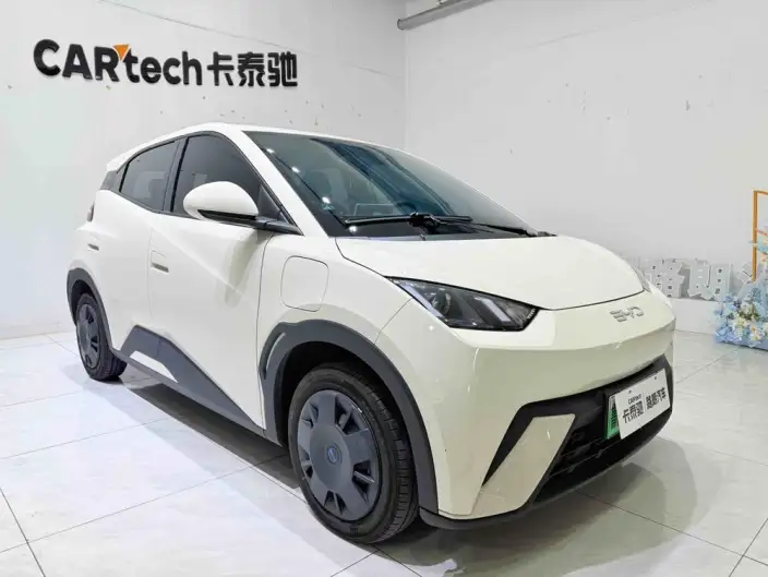 BYD Seagull 2024 Model Honor Edition 305KM Vitality Edition – фото 3