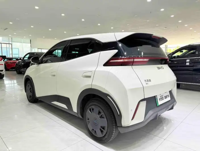 BYD Seagull 2024 Model Honor Edition 305KM Vitality Edition – фото 4