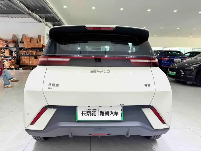BYD Seagull 2024 Model Honor Edition 305KM Vitality Edition – фото 5