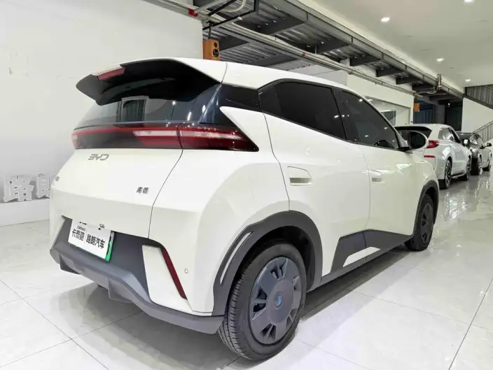BYD Seagull 2024 Model Honor Edition 305KM Vitality Edition – фото 6