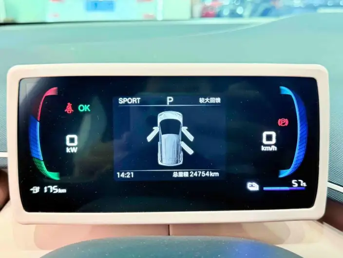 BYD Seagull 2024 Model Honor Edition 305KM Vitality Edition – фото 10