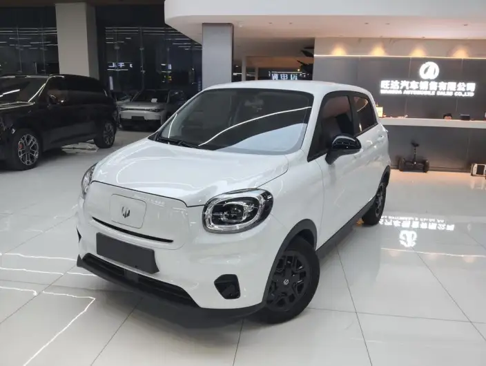 Leapmotor T03 2023 Model 310 Light Edition