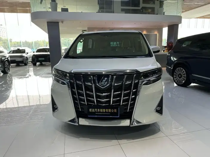Elfa 2021 Model Hybrid 2.5L Premium Edition – фото 2