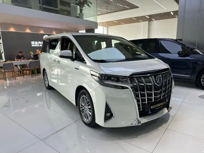 Elfa 2021 Model Hybrid 2.5L Premium Edition – фото 3