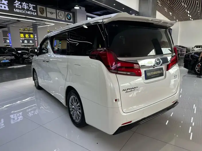 Elfa 2021 Model Hybrid 2.5L Premium Edition – фото 4