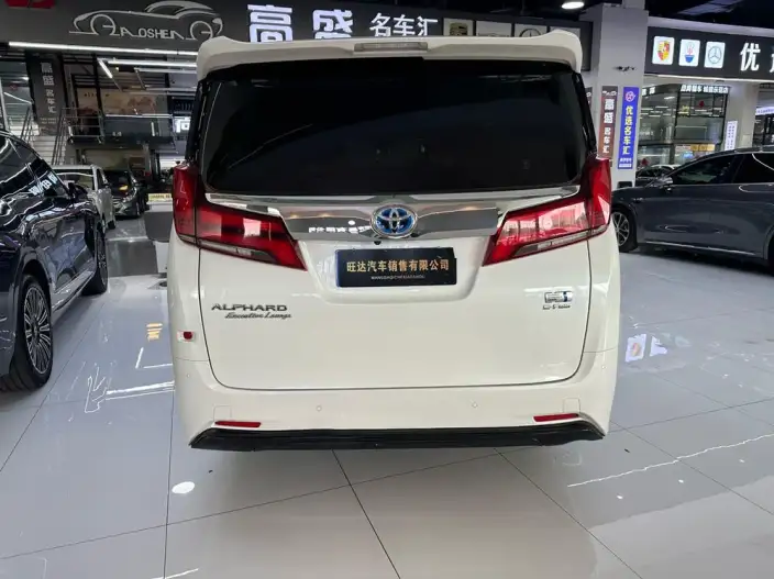 Elfa 2021 Model Hybrid 2.5L Premium Edition – фото 5