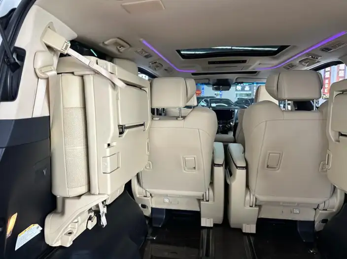 Elfa 2021 Model Hybrid 2.5L Premium Edition – фото 8