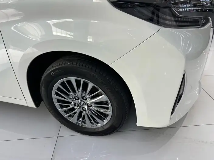 Elfa 2021 Model Hybrid 2.5L Premium Edition – фото 9