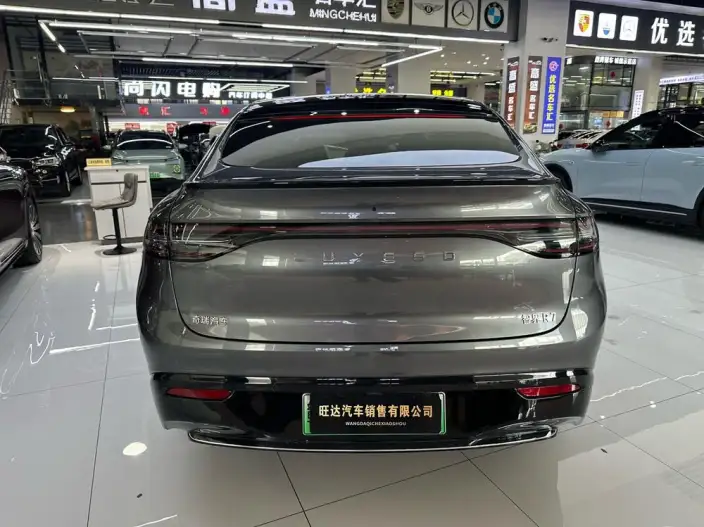 Luxeed R7 2024 Model Extended Range 37kWh Max Rear Drive Edition – фото 5