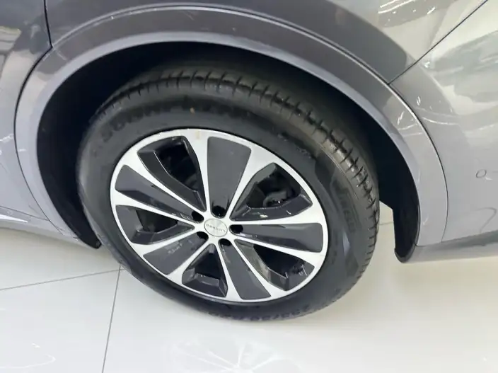 Luxeed R7 2024 Model Extended Range 37kWh Max Rear Drive Edition – фото 8