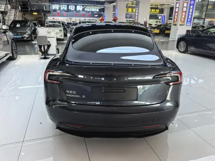 Model 3 2023 Model Rear-wheel drive version – фото 5