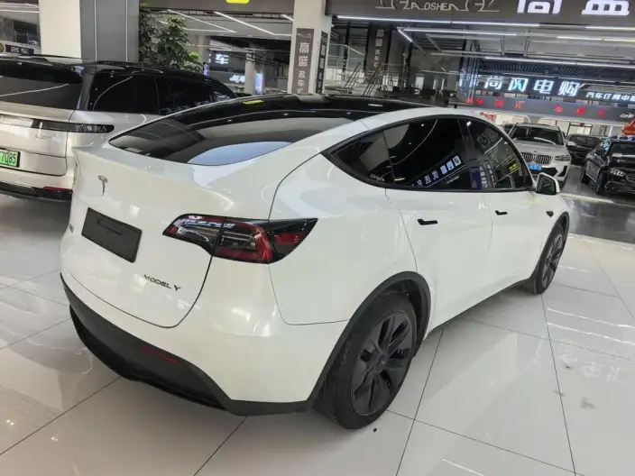 Model Y 2024 Model Rear-wheel drive version – фото 6