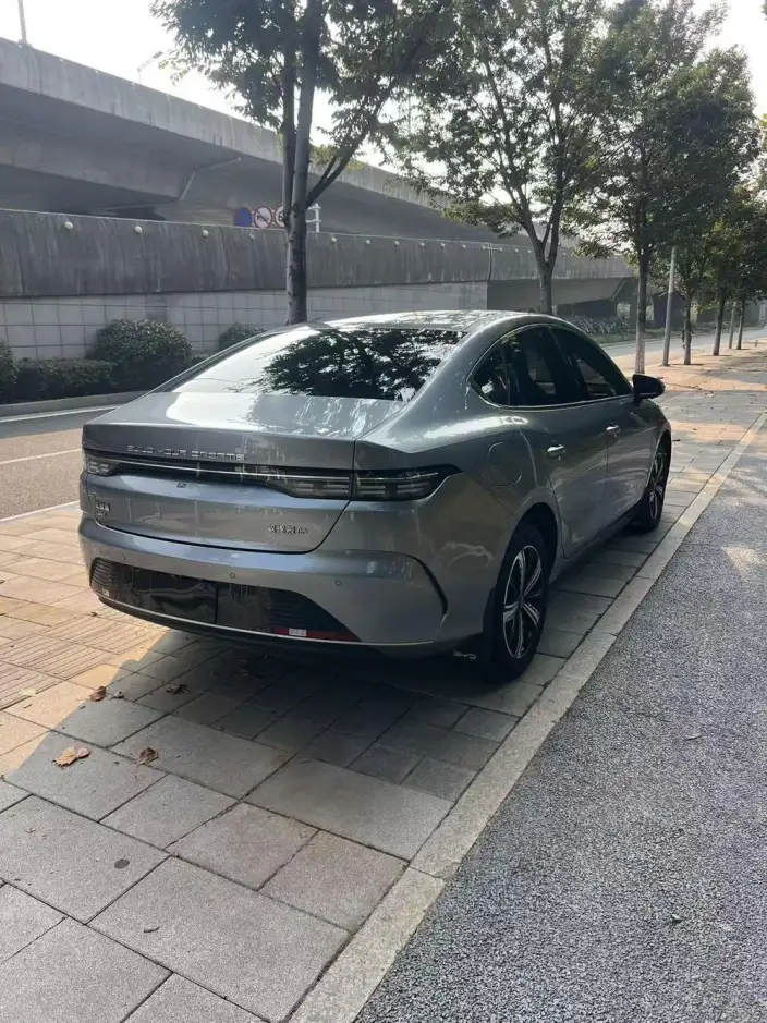 BYD Destroyer 05 2024 Model Honor Edition DM-i 120KM Luxury Model – фото 6