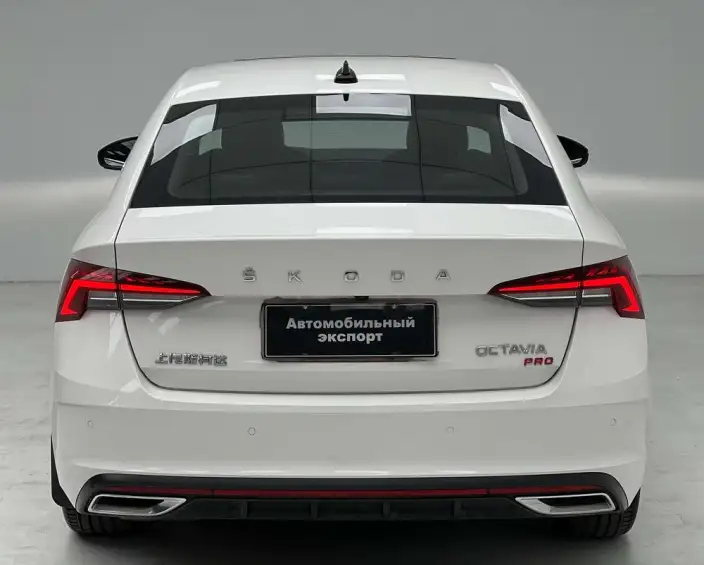 Skoda Octavia 2022 Model PRO TSI280 DSG Exclusive Edition – фото 6