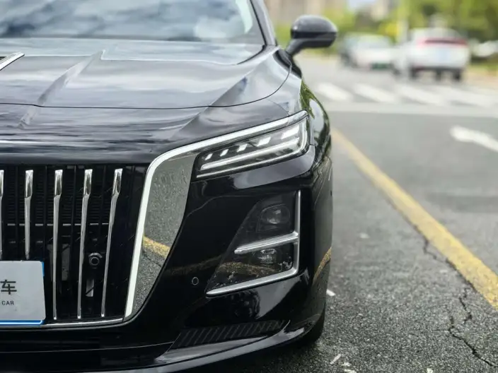 Hongqi H5 2026 Model 2.0T Automatic Flag Ling Pro Edition – фото 8